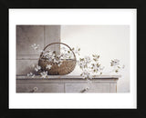 Spring Blossoms  (Framed) -  Ray Hendershot - McGaw Graphics