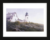 Gulls at Pemaquid  (Framed) -  Ray Hendershot - McGaw Graphics