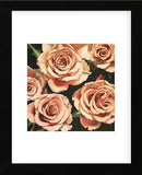 Roses  (Framed) -  Elizabeth Hellman - McGaw Graphics