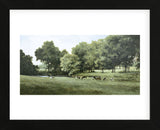 Grazing (Framed) -  Ray Hendershot - McGaw Graphics