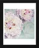 Peony on Blue  (Framed) -  Elizabeth Hellman - McGaw Graphics