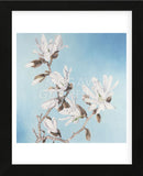 Magnolia  (Framed) -  Elizabeth Hellman - McGaw Graphics