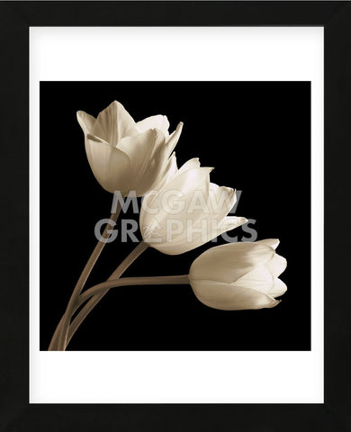 Three Tulips (Framed) -  Michael Harrison - McGaw Graphics