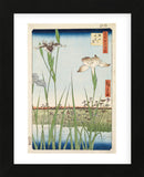 Irises at Horikiri, 1857 (Framed) -  Ando Hiroshige - McGaw Graphics