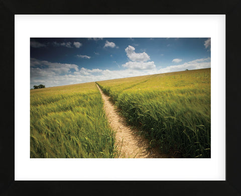 Summer Path (Framed) -  Michael Hudson - McGaw Graphics