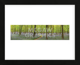 Bluebell Woods Panorama (Framed) -  Michael Hudson - McGaw Graphics