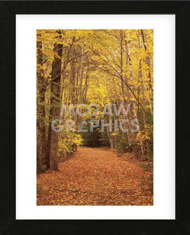 Autumn Path (Framed) -  Michael Hudson - McGaw Graphics