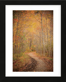 Winding Autumn Path (Framed) -  Michael Hudson - McGaw Graphics