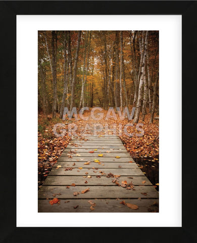Woodland Path (Framed) -  Michael Hudson - McGaw Graphics