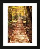 Boardwalk (Framed) -  Michael Hudson - McGaw Graphics