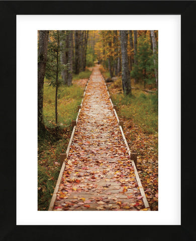 Straight Path (Framed) -  Michael Hudson - McGaw Graphics