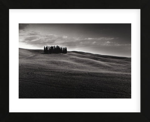Cypresses and Rolling Hills (Framed) -  Michael Hudson - McGaw Graphics