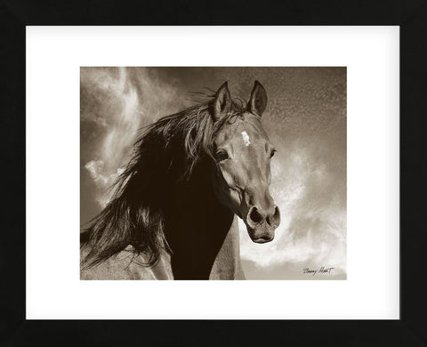 Wild as the Wind (Framed) -  Barry Hart - McGaw Graphics