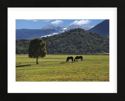 Mancos Morning (color) (Framed) -  Barry Hart - McGaw Graphics