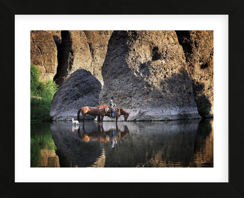 Oasis (color) (Framed) -  Barry Hart - McGaw Graphics