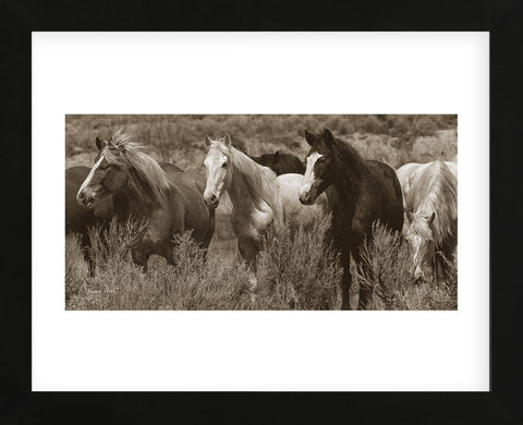Pasture Pals (Framed) -  Barry Hart - McGaw Graphics