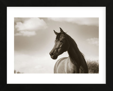 The Bay Mare (Framed) -  Barry Hart - McGaw Graphics