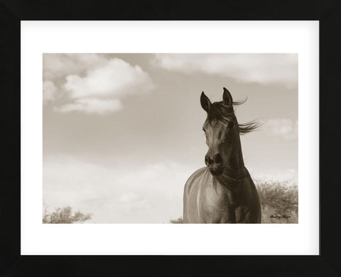 The Bay Mare II (Framed) -  Barry Hart - McGaw Graphics