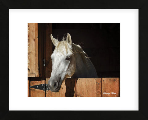 They Call Him Trouble (color) (Framed) -  Barry Hart - McGaw Graphics