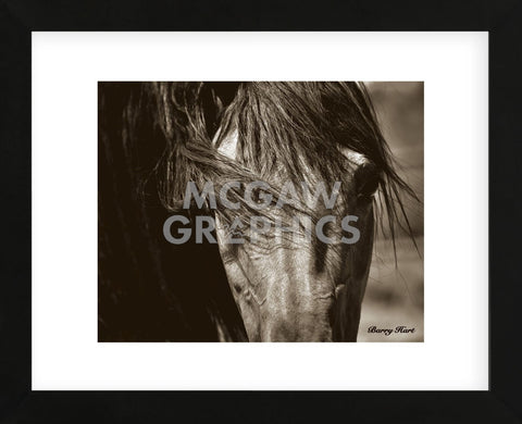 Tres Chic (Framed) -  Barry Hart - McGaw Graphics