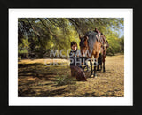 Time for a Snack (Framed) -  Barry Hart - McGaw Graphics