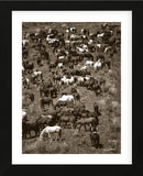 Where‚Äôs Waldo (Framed) -  Barry Hart - McGaw Graphics