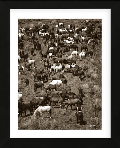 Where‚Äôs Waldo (Framed) -  Barry Hart - McGaw Graphics