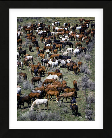 Where‚Äôs Waldo (color) (Framed) -  Barry Hart - McGaw Graphics