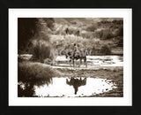 River Ride (Framed) -  Barry Hart - McGaw Graphics