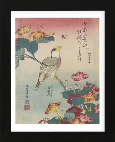 Hawfinch and Marvel-of-Peru (Framed) -  Katsushika Hokusai - McGaw Graphics