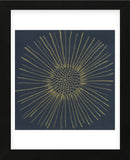 Burst I (Framed) -  Cathe Hendrick - McGaw Graphics