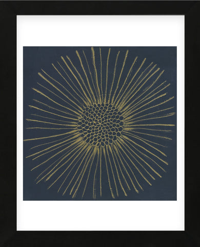 Burst I (Framed) -  Cathe Hendrick - McGaw Graphics