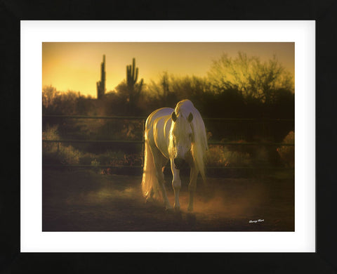 Stallion in the Garden (color) (Framed) -  Barry Hart - McGaw Graphics