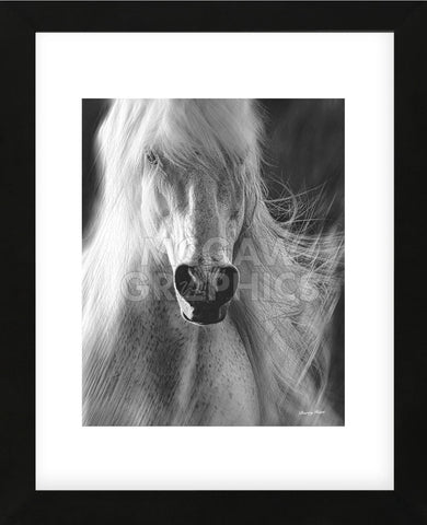 White Lightning (Framed) -  Barry Hart - McGaw Graphics