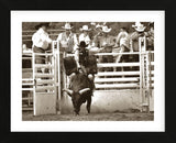 That Ain’t No Bull (Framed) -  Barry Hart - McGaw Graphics