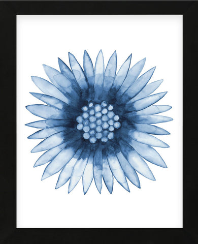 Blue Daisy (Framed) -  Cathe Hendrick - McGaw Graphics