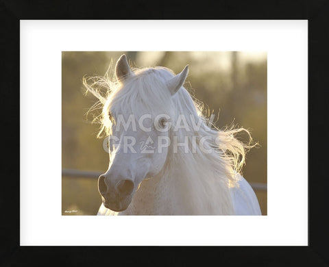 Angel Baby (Framed) -  Barry Hart - McGaw Graphics