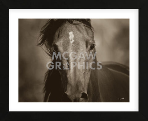 Dark Eyes (Framed) -  Barry Hart - McGaw Graphics