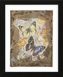 Honeycomb Butterflies  (Framed) -  Annabel Hewitt - McGaw Graphics