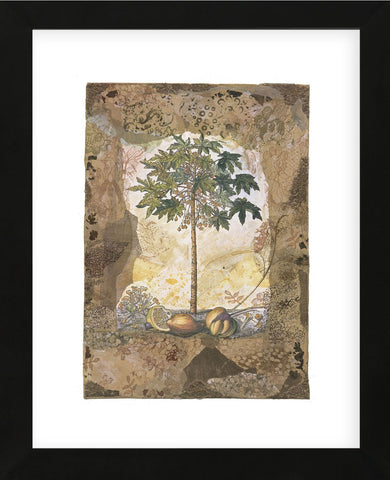 Lace and Papaya (Framed) -  Annabel Hewitt - McGaw Graphics
