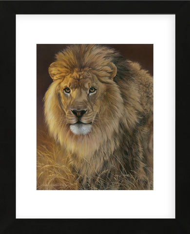 Power and Presence - African Lion  (Framed) -  Joni Johnson-Godsy - McGaw Graphics