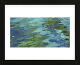 Surface Reflections (Framed) -  Margaret Juul - McGaw Graphics