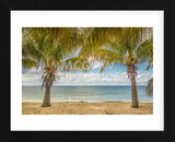 Twin Palms (Framed) -  Mary Lou Johnson - McGaw Graphics