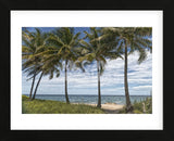 Beach Palms (Framed) -  Mary Lou Johnson - McGaw Graphics