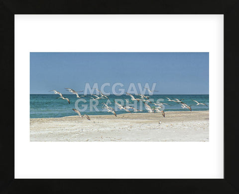 Beach Skimmers (Framed) -  Mary Lou Johnson - McGaw Graphics