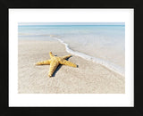 Star Fish Line of Surf (Framed) -  Mary Lou Johnson - McGaw Graphics