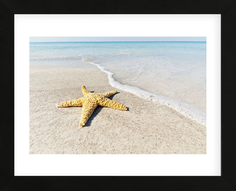 Star Fish Line of Surf (Framed) -  Mary Lou Johnson - McGaw Graphics