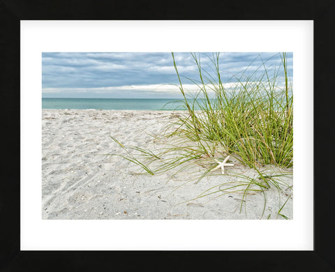 Star Fish and Sea Oats (Framed) -  Mary Lou Johnson - McGaw Graphics