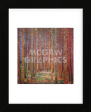 Tannenwald I (Framed) -  Gustav Klimt - McGaw Graphics