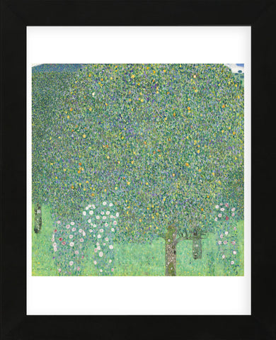 Rosebushes under the Trees, ca. 1905 (Framed) -  Gustav Klimt - McGaw Graphics